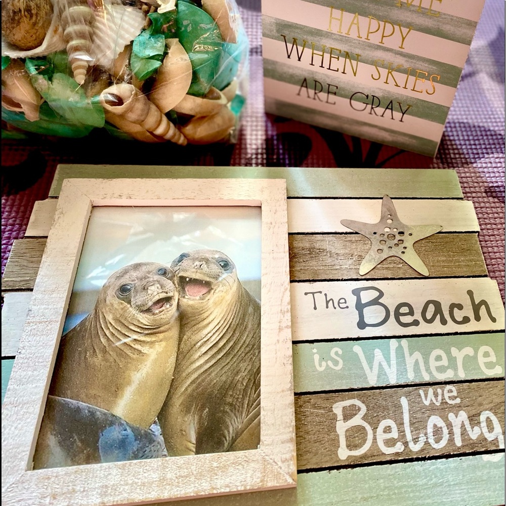 Beach Frame , plaque and shells 🏖🐚🖼